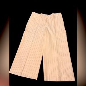 NEVER WORN! Express business slacks. They come to about ankle length.